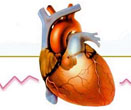 Cardiology