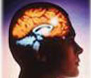 Neurology