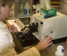 Pathology/Histology